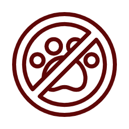 no pets